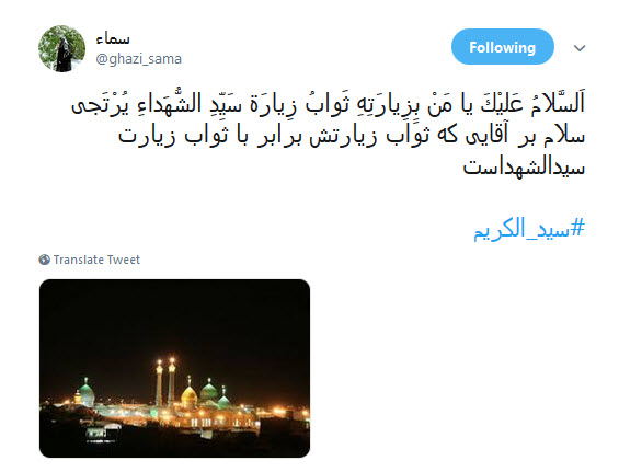 #سیدالکریم / ای چو جدت مجتبی دیده جفا از دشمنان ،او غریب شهر یثرب تو غریب شهرری +تصاویر