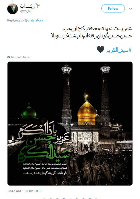 #سیدالکریم / ای چو جدت مجتبی دیده جفا از دشمنان ،او غریب شهر یثرب تو غریب شهرری +تصاویر