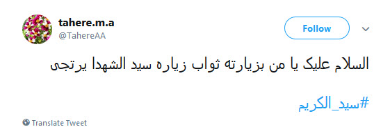 #سیدالکریم / ای چو جدت مجتبی دیده جفا از دشمنان ،او غریب شهر یثرب تو غریب شهرری +تصاویر
