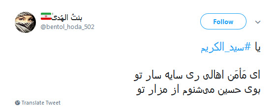 #سیدالکریم / ای چو جدت مجتبی دیده جفا از دشمنان ،او غریب شهر یثرب تو غریب شهرری +تصاویر