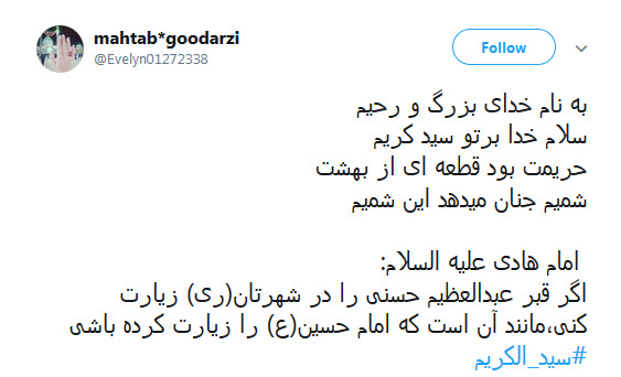 #سیدالکریم / ای چو جدت مجتبی دیده جفا از دشمنان ،او غریب شهر یثرب تو غریب شهرری +تصاویر