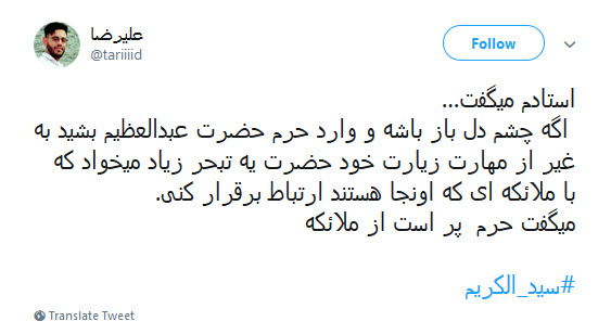 #سیدالکریم / ای چو جدت مجتبی دیده جفا از دشمنان ،او غریب شهر یثرب تو غریب شهرری +تصاویر