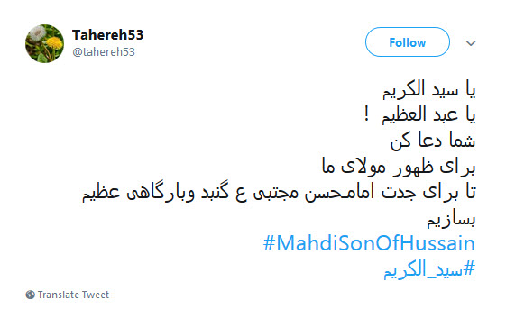 #سیدالکریم / ای چو جدت مجتبی دیده جفا از دشمنان ،او غریب شهر یثرب تو غریب شهرری +تصاویر