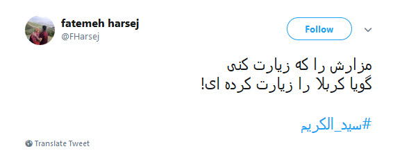 #سیدالکریم / ای چو جدت مجتبی دیده جفا از دشمنان ،او غریب شهر یثرب تو غریب شهرری +تصاویر
