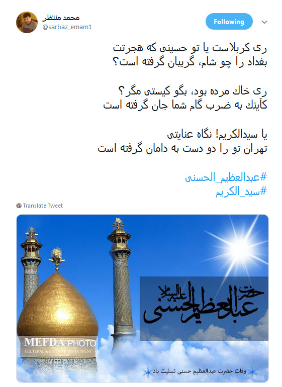 #سیدالکریم / ای چو جدت مجتبی دیده جفا از دشمنان ،او غریب شهر یثرب تو غریب شهرری +تصاویر