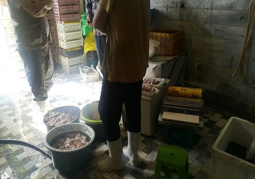 شناسایی یک واحد کشتارگاه غیر مجاز بلدرچین در آبیک