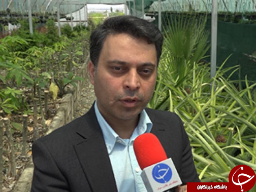 دستاورد تحقیقاتی جوان خلاق گلستانی / دورریختنی های پرسود