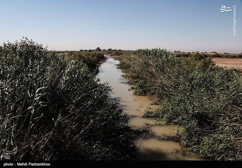 کاهش شدید آب رودخانه کرخه نور + عکس