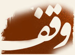 احیای صنعت چرم در زنجان + فیلم