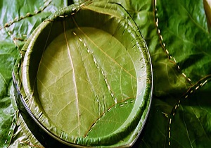 بشقاب برگی به جای بشقاب پلاستیکی + فیلم