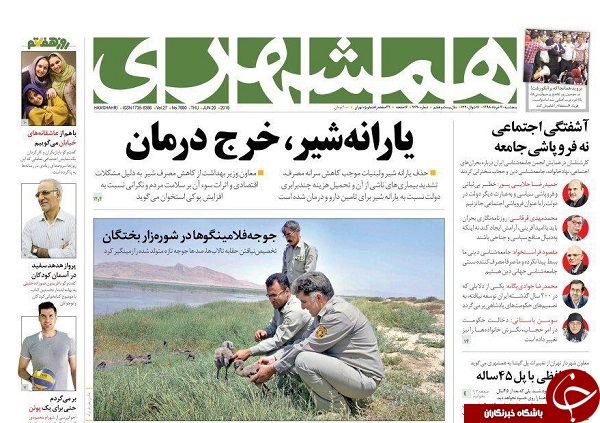 زندگی بهتر با وزارت بازرگانی!/ مثل همه شبیه هیچ کس/