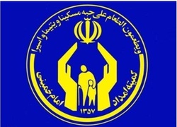 تا پایان امسال ۴۵۰۰ مددجوی زنجانی صاحب شغل می&zwnj;شوند
