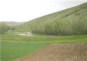 رفع تصرف ۲۲ هکتار از اراضی دولتی در زاهدان