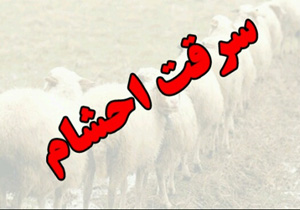 انهدام باند سرقت احشام در آمل