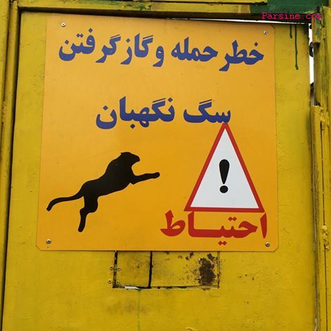 نصب تابلو‌های هشدار در قتلگاه گونه‌های نادر استان سمنان