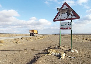 نصب تابلو&zwnj;های هشدار در قتلگاه گونه&zwnj;های نادر استان سمنان