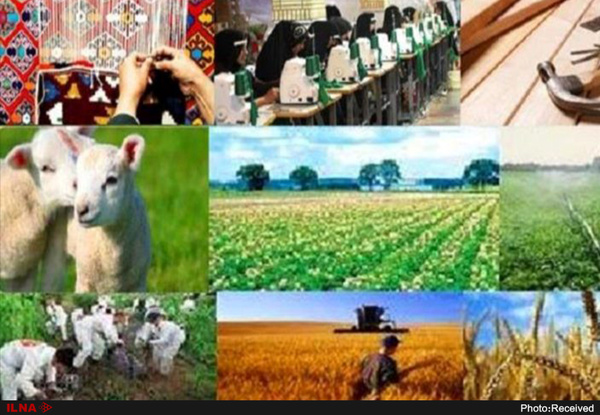 تخصیص ۹۰ درصد رقم ابلاغی مشاغل روستایی استان مرکزی