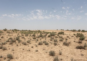فرونشست و بیابان‌زایی، بحران جدی در دشت قزوین