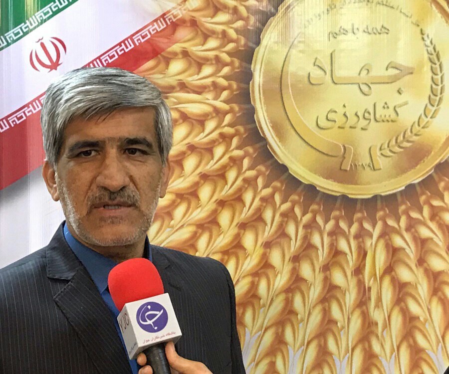 خرید بیش از ۱۷هزارتن گندم مازاد بر نیاز از کشاورزان سیستان وبلوچستان