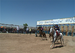 برگزاری دومین دوره کورس بهاره اسب دوانی در چهار محال و بختیاری