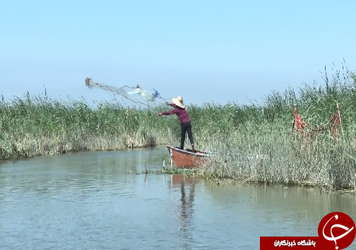 حیات، سوغات سیل برای تالاب شادگان/حال تالاب نشینان گره خورده به حال تالاب است