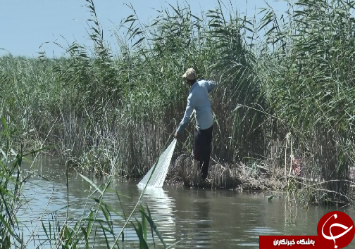 حیات، سوغات سیل برای تالاب شادگان/حال تالاب نشینان گره خورده به حال تالاب است