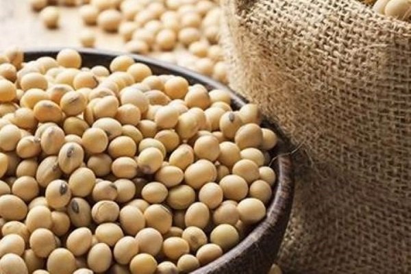 بازماندگان سرطان سینه بخوانند
