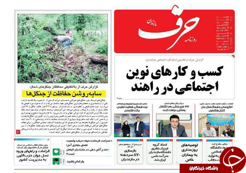 جامعه اسلامی با چاشنی نشاط/ سایه روشن حفاظت از جنگل&zwnj;ها