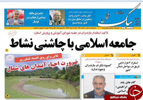 جامعه اسلامی با چاشنی نشاط/ سایه روشن حفاظت از جنگل&zwnj;ها