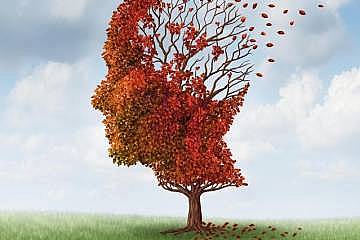 انسان گذشته را چگونه به خاطر می&zwnj;آورد؟