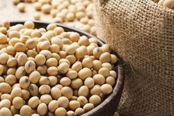 افزایش سرطان در میان زنان ایتالیایی + فیلم