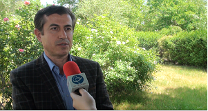 شیوع بیماری‌های قارچی در مزارع استان