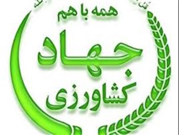 جزئیات پرونده باند فساد در جهادکشاورزی خراسان رضوی