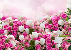بازار گل در رکود است/ افزایش ۳۰۰ درصدی متعلقات گل در بازار