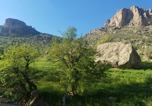 تصاویری از طبیعت سرسبز و بهاری در روستای درکه