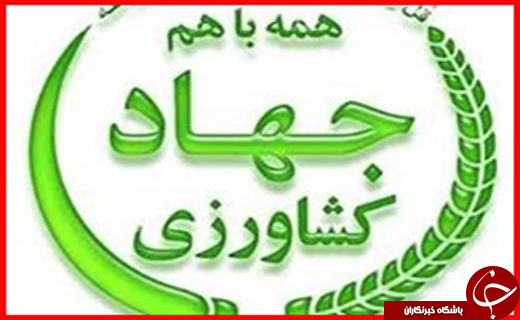 جذابترین ها