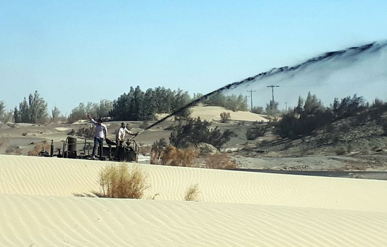 درختکاری و مالچ&zwnj;پاشی در کانون&zwnj;های بحران سیستان در حال انجام است
