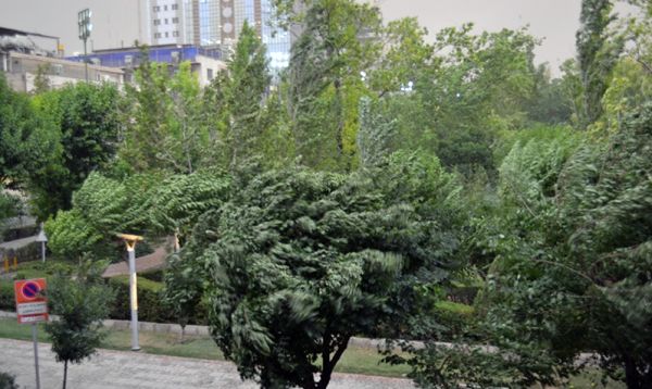 طوفان در تهران مصدوم نداشت