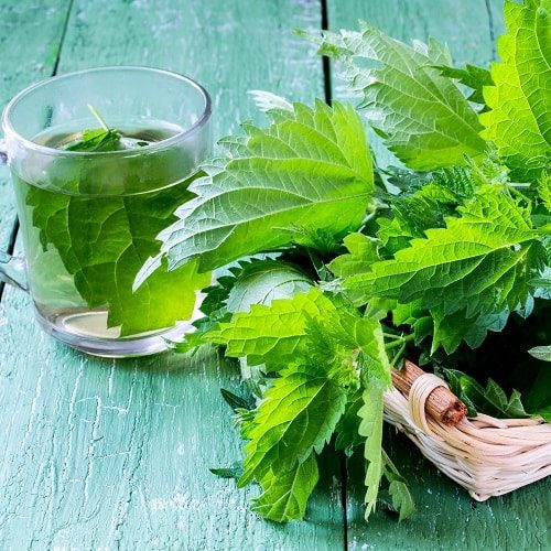 آلرژی فصلی را با ۱۰ فرمول خانگی در نطفه خفه کنید +لیست خوراکی&zwnj;های ضد آلرژی