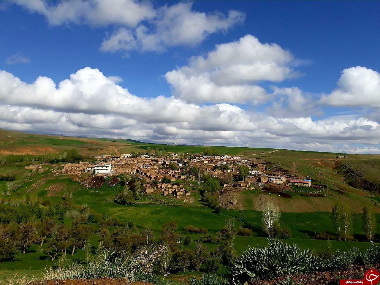 عکسی از طبیعت بهاری در روستای شهرک