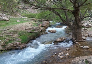«تنگ عزیزآباد» با چشمه‌های فراوان و آبشارهای دیدنی + فیلم