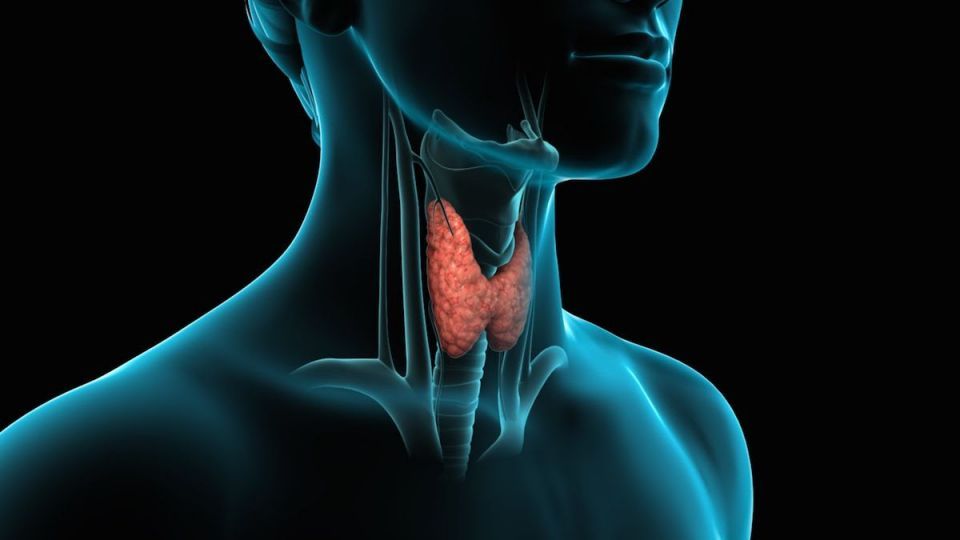 پیشگیری از کم کاری تیروئید نوزادان