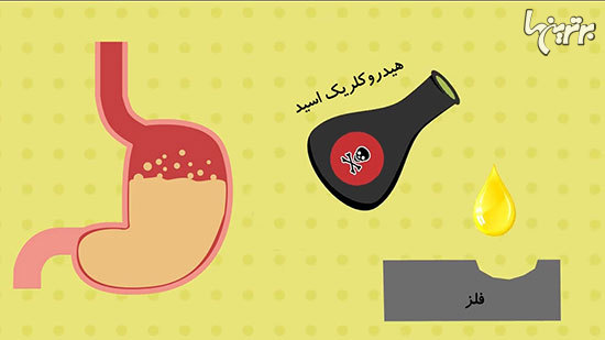 حقایقی شگفت انگیز درباره بدن انسان که نمی&zwnj;دانستید//////