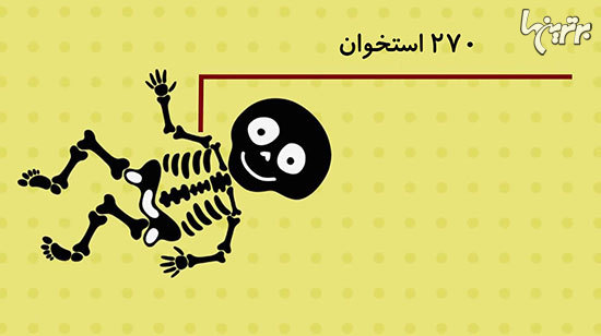 حقایقی شگفت انگیز درباره بدن انسان که نمی&zwnj;دانستید//////