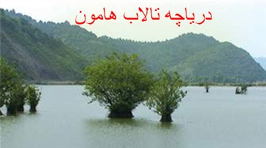 کشف یک گور تاریخی مربوط به دوره ایلخانی در رشت/حقوق معوقه کارگران کارخانه نیشکر هفت تپه پرداخت می&zwnj;شود؟/قاچاق بنزین از روستایی که به اوپک ایران معروف است