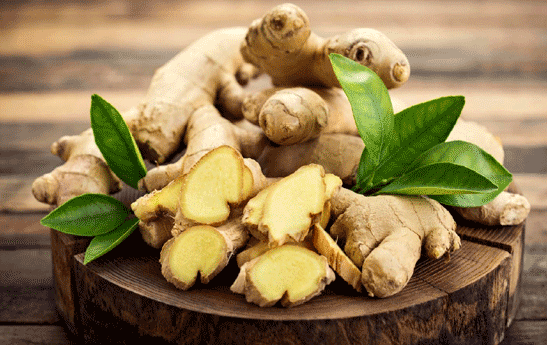 آموزش کاشت زنجبیل در گلدان