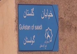 آشنایی با زندگی زن عشایری که فعالیتی در حد چند مرد دارد + فیلم