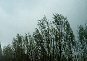سرعت تندباد در اشنویه به ۹۷ کیلومتر در ساعت رسید