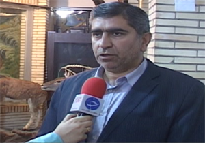 شکارچیان خرگوش در خرم آباد دستگیر شدند