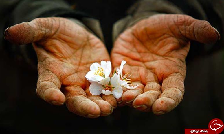چطور می&zwnj;توانیم سلامت پدر و مادر پیرمان را حفظ کنیم؟